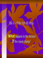 Phân tích độ nhạy pdf