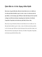 Quả dâu ta và tác dụng chữa bệnh docx