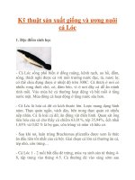 Kỹ thuật sản xuất giống và ương nuôi cá Lóc potx