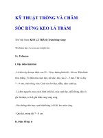 KỸ THUẬT TRỒNG VÀ CHĂM SÓC RỪNG KEO LÁ TRÀM docx