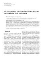 Báo cáo hóa học: 