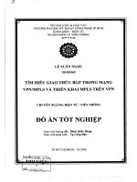 Tìm hiểu giao thức BGP trong mạng VNP MPLS và triển khai MPLS trên VNP