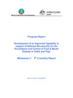 Báo cáo nghiên cứu khoa học 