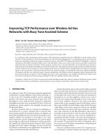 Báo cáo hóa học: 