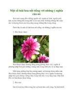 Một số loài hoa nổi tiếng với những ý nghĩa của nó pptx