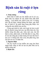 Bệnh sán lá ruột ở lợn rừng pptx