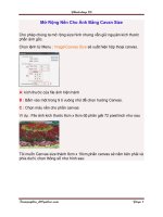 Mở Rộng Nền Cho Ảnh Bằng Cavan Size docx