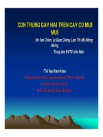 Báo cáo nghiên cứu nông nghiệp 