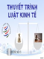 Bai thuyet trinh nhom 3 pdf