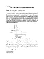 Chương 7: CƠ SỞ HÓA LÝ CỦA SỰ HƯNG PHẤN doc