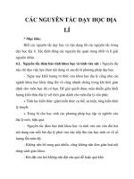 CÁC NGUYÊN TẮC DẠY HỌC ĐỊA LÍ pot