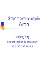 Báo cáo nghiên cứu khoa học 