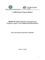 Báo cáo nghiên cứu khoa học 