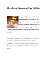 Chọn Rượu Champagne Như Thế Nào pot