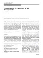 Báo cáo hóa học: 