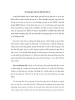 Kỹ năng giao tiếp của đại biểu dân cử pdf