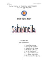 31588247-Tieu-Luan-Salmonella pdf
