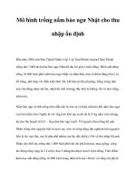 Mô hình trồng nấm bào ngư Nhật cho thu nhập ổn định ppt