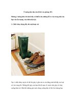 Ý tưởng độc đáo cho lối đi vào phòng (P1) pdf