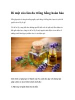 Bí mật của làn da trắng hồng hoàn hảo ppt