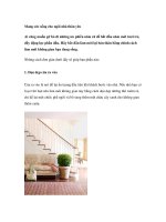 Mang sức sống cho ngôi nhà thân yêu potx