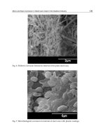 Scientific, Health and Social Aspects of the Food Industry Part 6 pdf