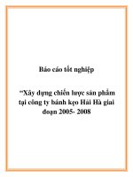Báo cáo tốt nghiệp : “Xây dựng chiến lược sản phẩm tại công ty bánh kẹo Hải Hà giai đoạn 2005- 2008 pdf