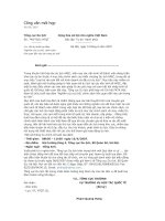 khai niem dan toc doc