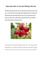 Quả chua chát và táo mèo Hoàng Liên Sơn doc