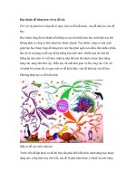 Học thuộc dễ dàng hơn với sơ đồ cây pdf