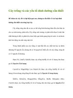 Cây trồng và các yếu tố dinh dưỡng cần thiết ppt