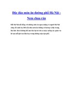 Độc đáo món ăn đường phố Hà Nội Nem chua rán pdf