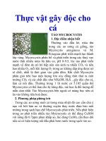 Thực vật gây độc cho cá pptx