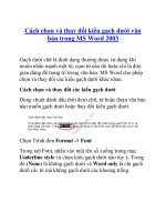 Cách chọn và thay đổi kiểu gạch dưới văn bản trong MS Word 2003 potx