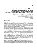 Bioluminescence Recent Advances in Oceanic Measurements and Laboratory Applications Part 7 ppt