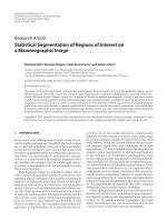 Báo cáo hóa học: 