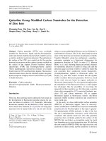 Báo cáo hóa học: 