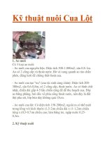 Kỹ thuật nuôi Cua Lột potx