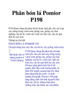 Phân bón lá Pomior P198 potx