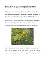 Phân biệt lá ngón và một số cây thuốc doc