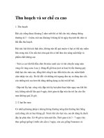 Thu hoạch và sơ chế ca cao pot