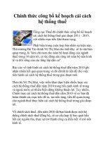 Chính thức công bố kế hoạch cải cách hệ thống thuế docx