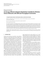 Báo cáo hóa học: 