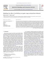 Journal of retailing and consumer services volume 19 issue 1 2012 modeling the effect of self efficacy on game usage and purchase behavior