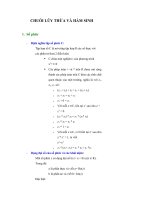 CHUỖI LŨY THỪA VÀ HÀM SINH