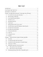 CÁC KĨ THUẬT TỐI ƯU  GABased Verification of Network Protocols Performance