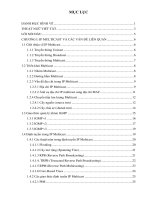 Nghiên cứu IP multicast và các ứng dụng