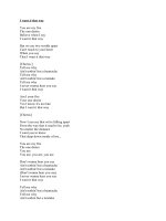 I want it that way potx