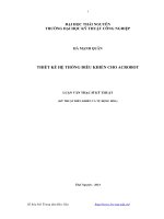 Thiết kế hệ thống điều khiển cho Acrobot