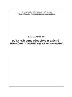 BÁO CÁO ĐẦU TƯ DỰ ÁN “XÂY DỰNG TỔNG CÔNG TY ĐIỆN TỬ  TỔNG CÔNG TY THƯƠNG MẠI HÀ NỘI – eHAPRO”